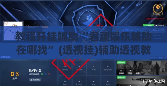 教程开挂辅助“君澜娱乐辅助在哪找	”(透视挂)辅助透视教程