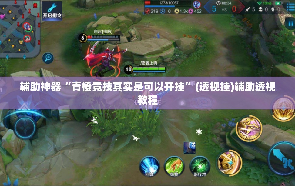 辅助神器“青橙竞技其实是可以开挂”(透视挂)辅助透视教程