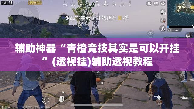 辅助神器“青橙竞技其实是可以开挂”(透视挂)辅助透视教程