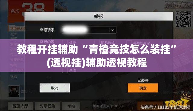 教程开挂辅助“青橙竞技怎么装挂”(透视挂)辅助透视教程