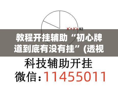 教程开挂辅助“初心牌道到底有没有挂”(透视挂)辅助透视教程