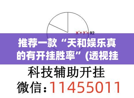 推荐一款“天和娱乐真的有开挂胜率”(透视挂)辅助透视教程