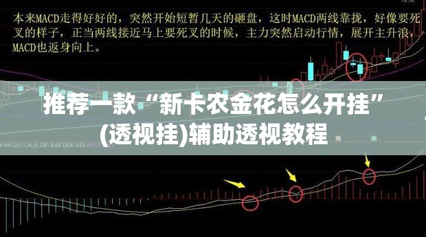 推荐一款“新卡农金花怎么开挂	”(透视挂)辅助透视教程