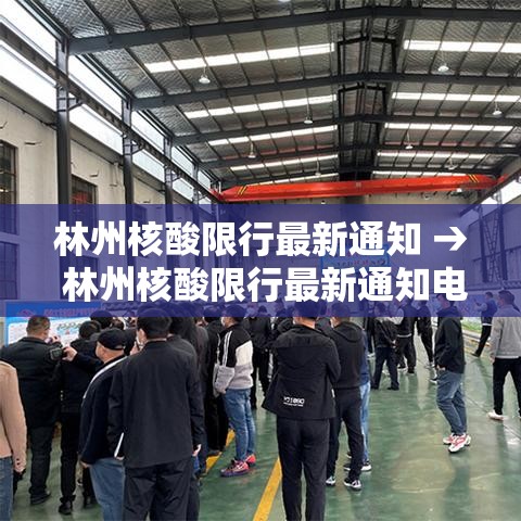 林州核酸限行最新通知 → 林州核酸限行最新通知电话