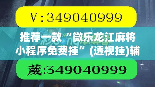 推荐一款“微乐龙江麻将小程序免费挂”(透视挂)辅助透视教程