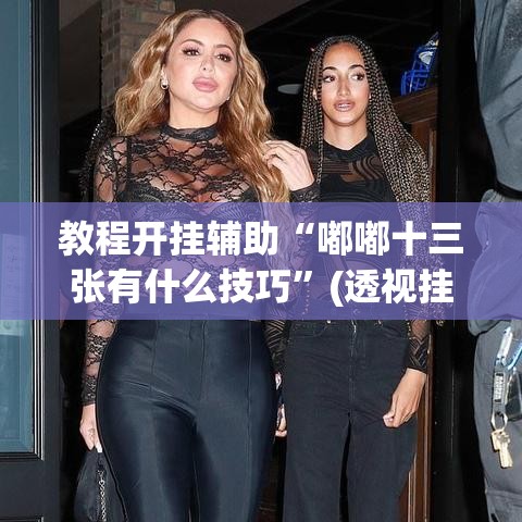 教程开挂辅助“嘟嘟十三张有什么技巧”(透视挂)辅助透视教程