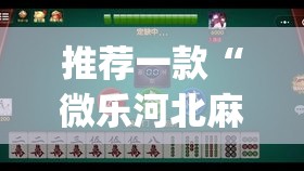 推荐一款“微乐河北麻将万能开挂器免费通用版”(透视挂)辅助透视教程
