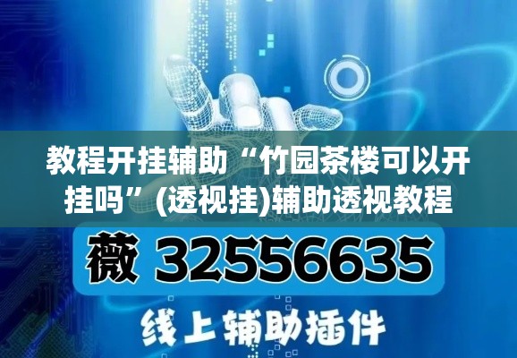 教程开挂辅助“竹园茶楼可以开挂吗”(透视挂)辅助透视教程