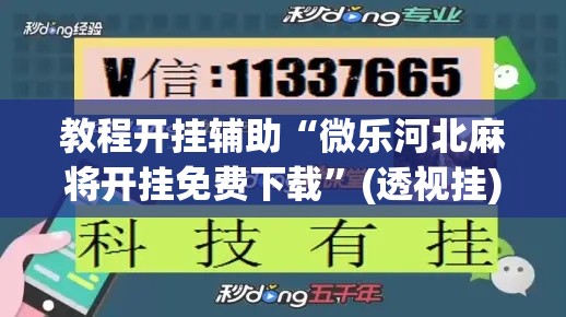 教程开挂辅助“微乐河北麻将开挂免费下载”(透视挂)辅助透视教程