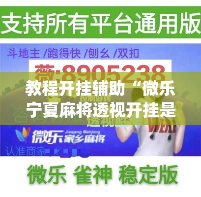 教程开挂辅助“微乐宁夏麻将透视开挂是不是真的”(透视挂)辅助透视教程