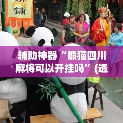 辅助神器“熊猫四川麻将可以开挂吗”(透视挂)辅助透视教程