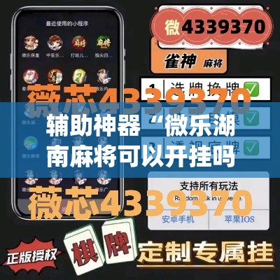 辅助神器“微乐湖南麻将可以开挂吗”(透视挂)辅助透视教程