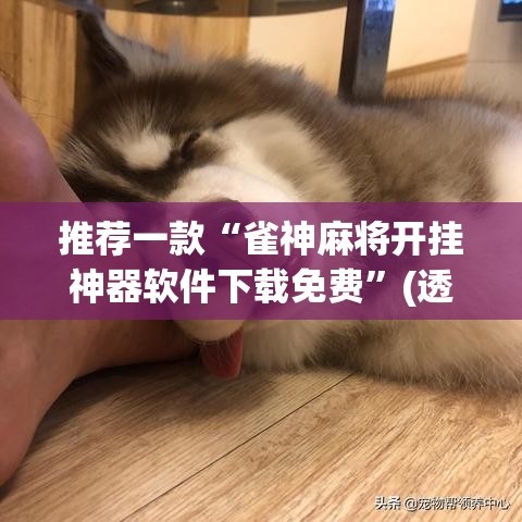 推荐一款“雀神麻将开挂神器软件下载免费”(透视挂)辅助透视教程