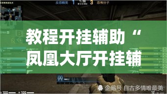 教程开挂辅助“凤凰大厅开挂辅助”(透视挂)辅助透视教程
