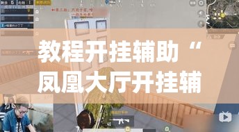 教程开挂辅助“凤凰大厅开挂辅助”(透视挂)辅助透视教程