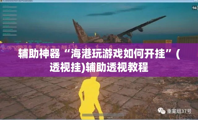 辅助神器“海港玩游戏如何开挂”(透视挂)辅助透视教程