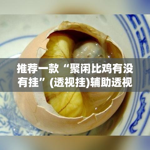 推荐一款“聚闲比鸡有没有挂”(透视挂)辅助透视教程