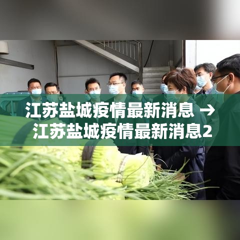 江苏盐城疫情最新消息 → 江苏盐城疫情最新消息2月16日