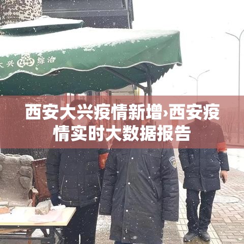 西安大兴疫情新增›西安疫情实时大数据报告