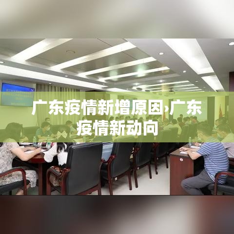 广东疫情新增原因›广东疫情新动向