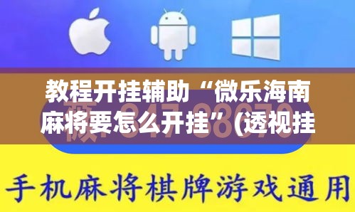 教程开挂辅助“微乐海南麻将要怎么开挂	”(透视挂)辅助透视教程