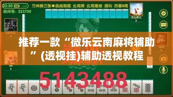推荐一款“微乐云南麻将辅助	”(透视挂)辅助透视教程
