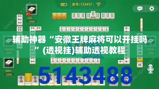 辅助神器“安徽王牌麻将可以开挂吗”(透视挂)辅助透视教程
