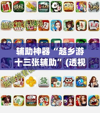 辅助神器“越乡游十三张辅助	”(透视挂)辅助透视教程