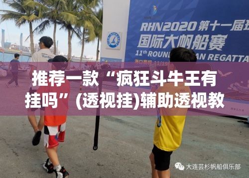 推荐一款“疯狂斗牛王有挂吗	”(透视挂)辅助透视教程