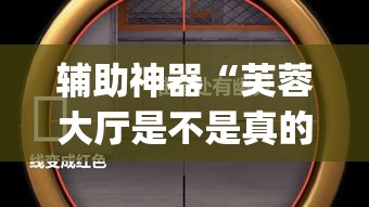辅助神器“芙蓉大厅是不是真的有挂”(透视挂)辅助透视教程