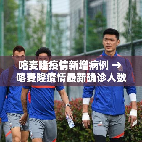 喀麦隆疫情新增病例 → 喀麦隆疫情最新确诊人数