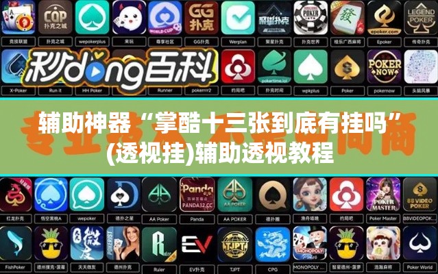 辅助神器“掌酷十三张到底有挂吗	”(透视挂)辅助透视教程