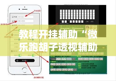 教程开挂辅助“微乐跑胡子透视辅助挂	”(透视挂)辅助透视教程