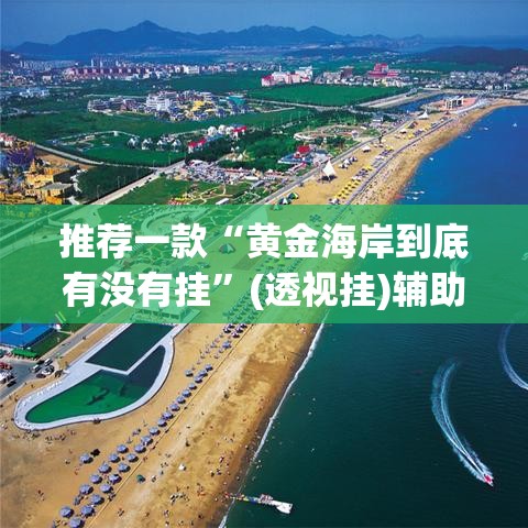 推荐一款“黄金海岸到底有没有挂”(透视挂)辅助透视教程