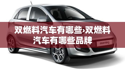 双燃料汽车有哪些›双燃料汽车有哪些品牌