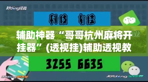 辅助神器“哥哥杭州麻将开挂器”(透视挂)辅助透视教程