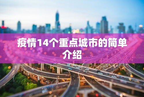 疫情14个重点城市的简单介绍