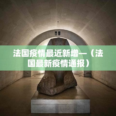 法国疫情最近新增—（法国最新疫情通报）
