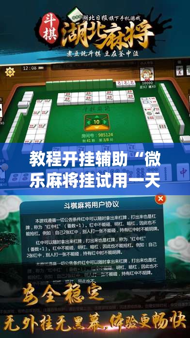 教程开挂辅助“微乐麻将挂试用一天	”(透视挂)辅助透视教程