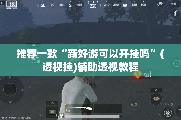 推荐一款“新好游可以开挂吗”(透视挂)辅助透视教程
