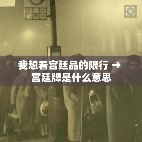 我想看宫廷品的限行 → 宫廷牌是什么意思