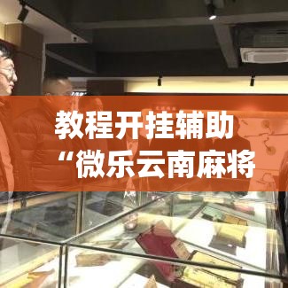 教程开挂辅助“微乐云南麻将有挂吗”(透视挂)辅助透视教程