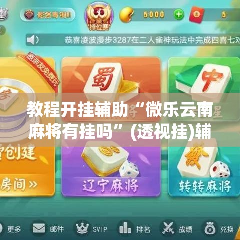 教程开挂辅助“微乐云南麻将有挂吗”(透视挂)辅助透视教程
