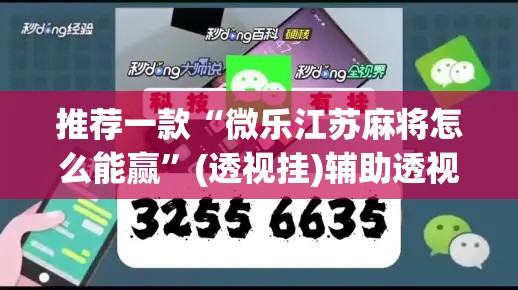 推荐一款“微乐江苏麻将怎么能赢”(透视挂)辅助透视教程