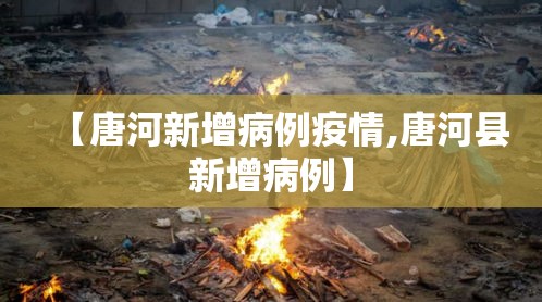 【唐河新增病例疫情,唐河县新增病例】