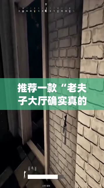 推荐一款“老夫子大厅确实真的有挂”(透视挂)辅助透视教程