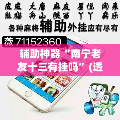 辅助神器“南宁老友十三有挂吗”(透视挂)辅助透视教程