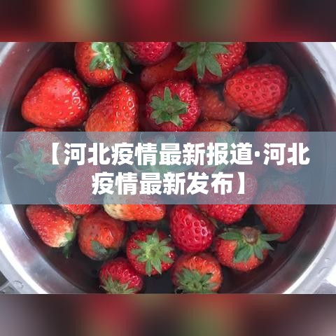 【河北疫情最新报道·河北疫情最新发布】