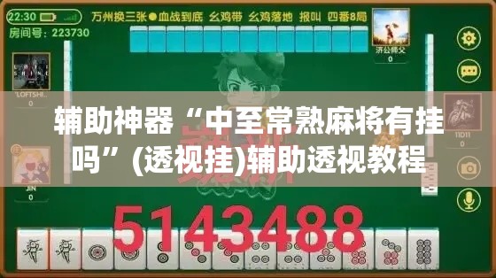 辅助神器“中至常熟麻将有挂吗”(透视挂)辅助透视教程