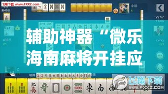 辅助神器“微乐海南麻将开挂应用”(透视挂)辅助透视教程